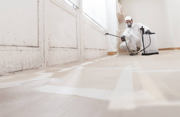 24/7 Emergency Mold Removal experts in New Park, PA